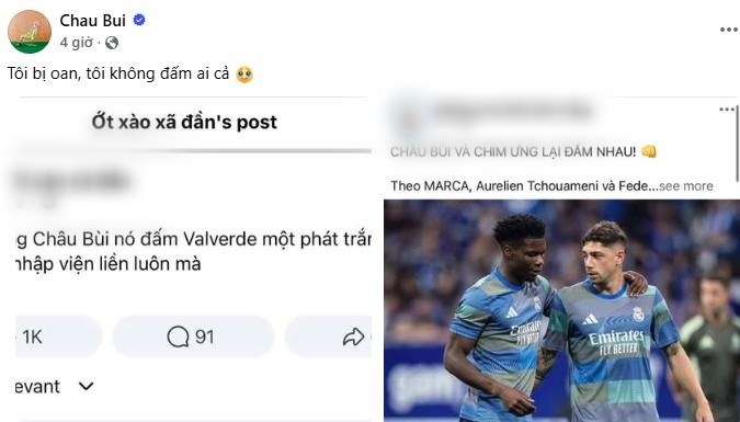 Chau Bui anh 1