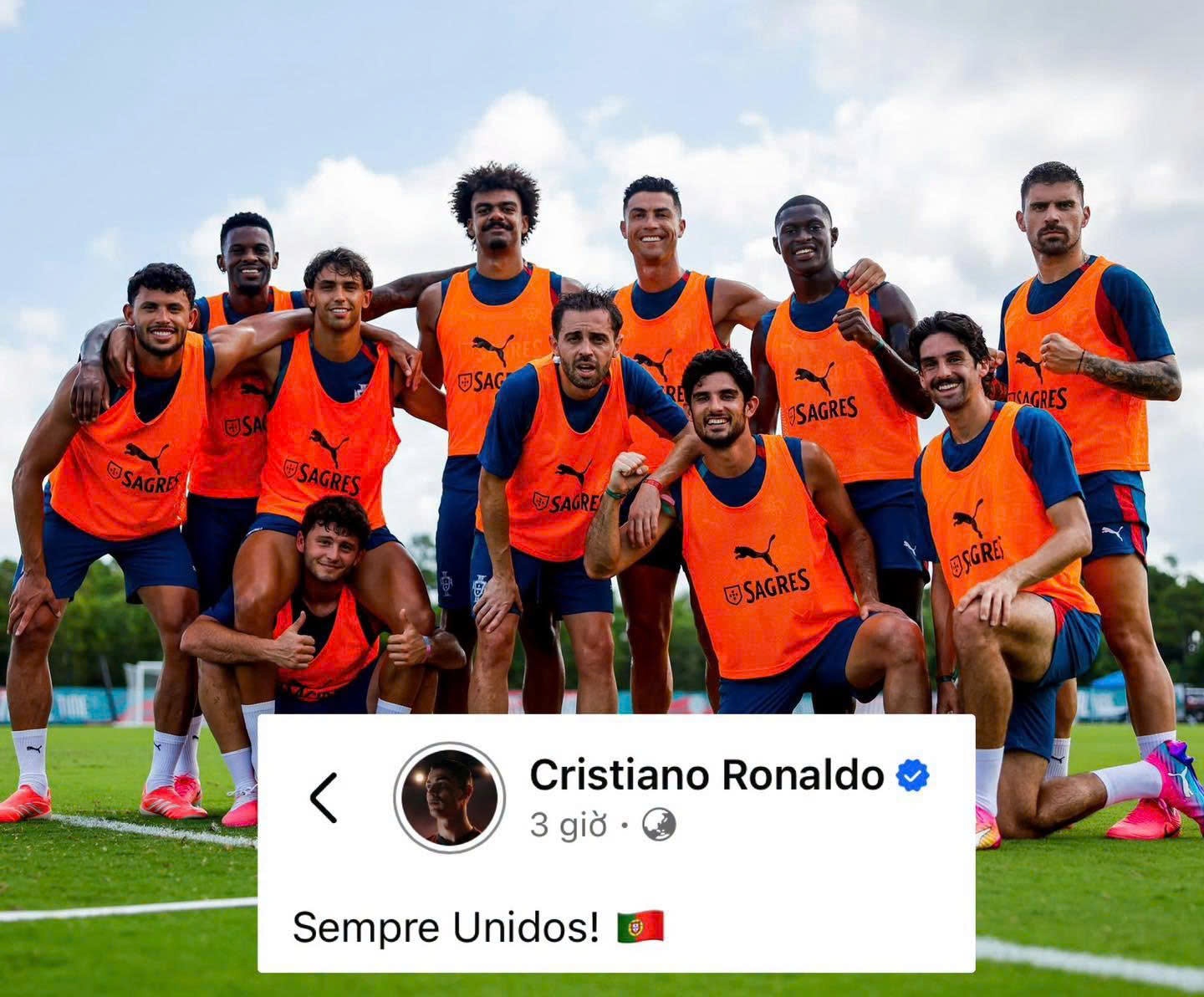 Ronaldo anh 1