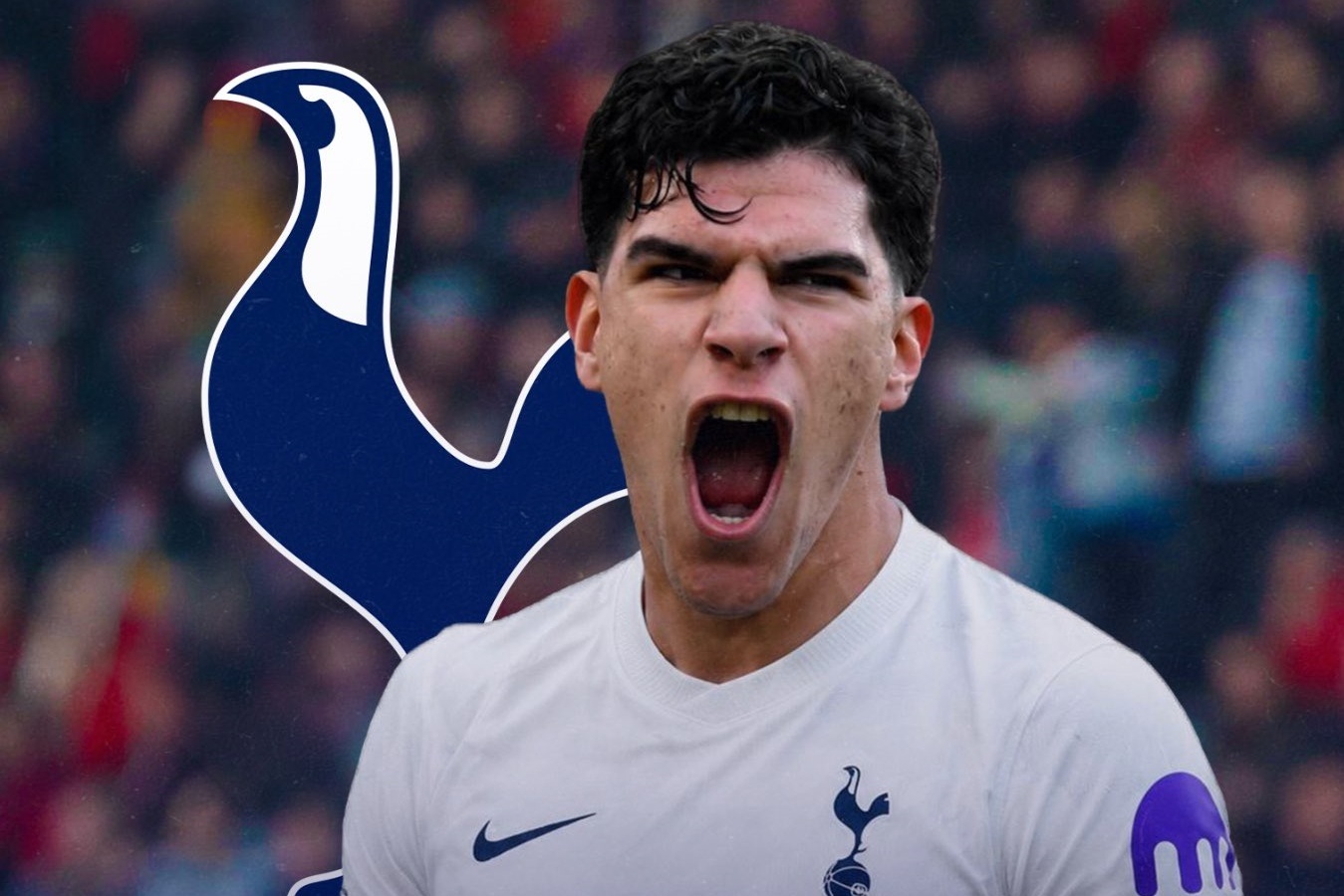 Con dien mua sam cua Tottenham hinh anh