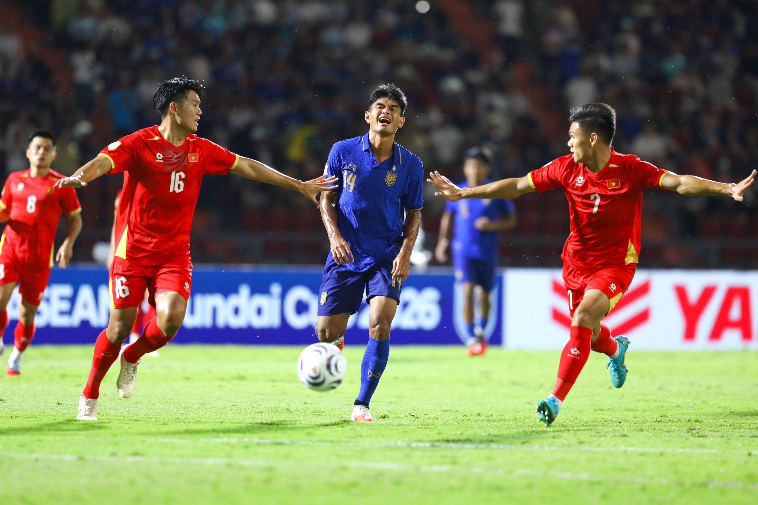 Việt Nam ảnh 1