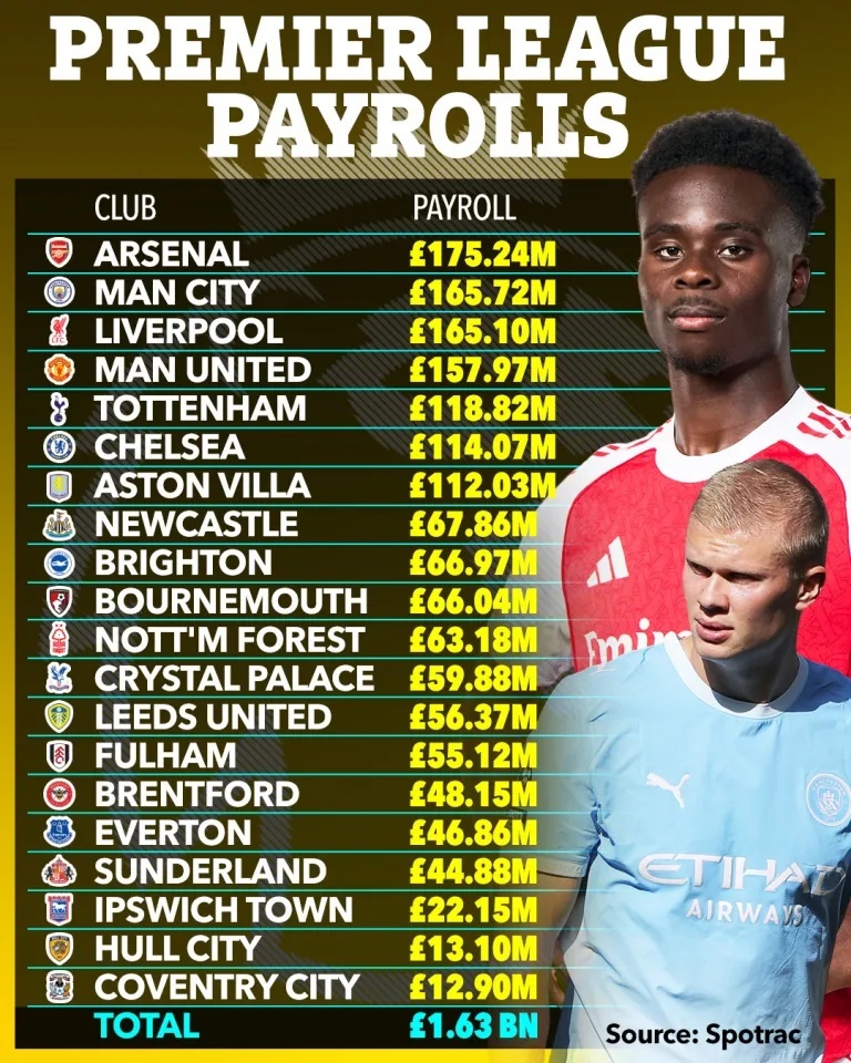 Premier League ảnh 1