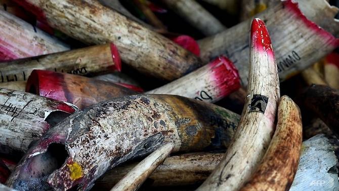 Malaysia bat giu mot nguoi Viet vi buon lau nga voi hinh anh