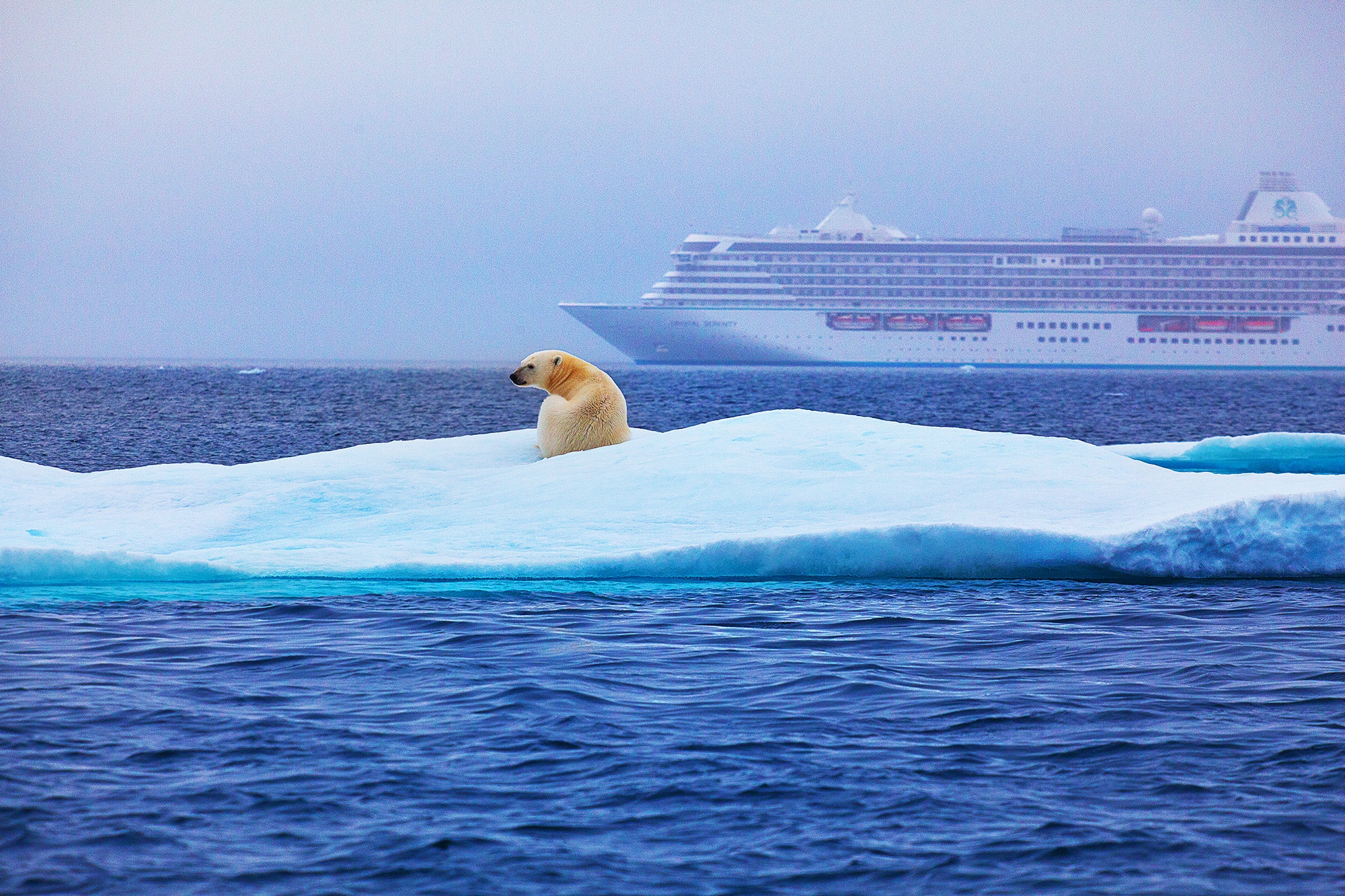 Hanh lang Tay Bac vong Bac Cuc anh 8