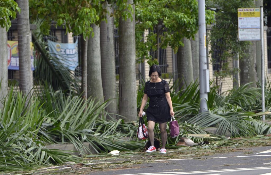 bao Nesat do bo Dai Loan anh 8