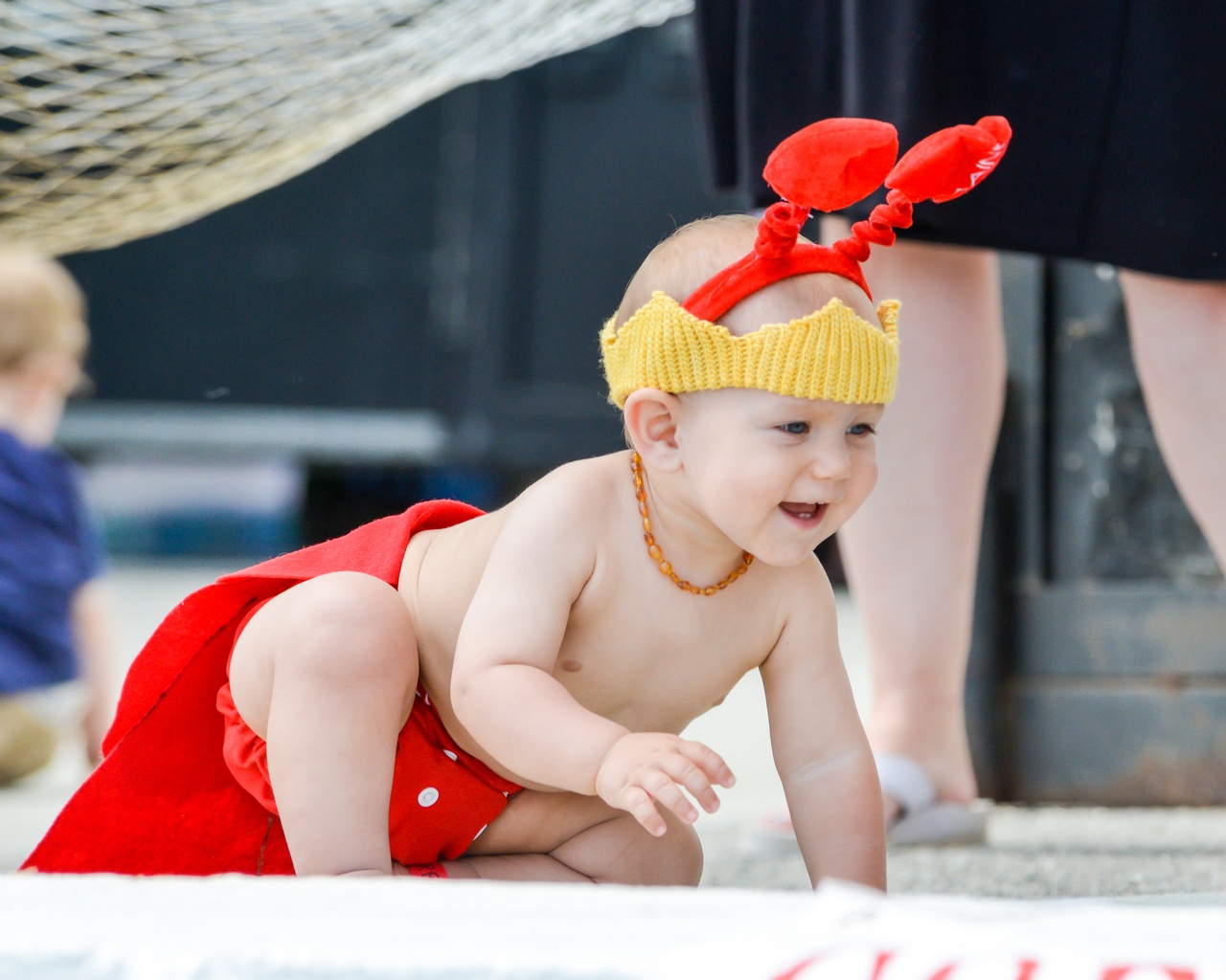 le hoi tom hum Maine anh 7