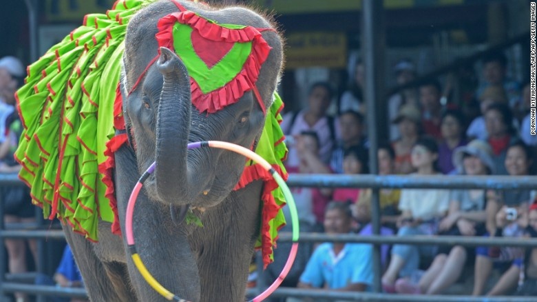 dat nuoc Trieu voi anh 1