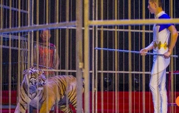 'Kiet suc', ho tan cong huan luyen vien xiec o Trung Quoc hinh anh