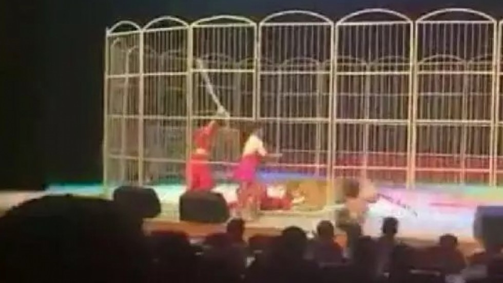 Ho tan cong huan luyen vien o Trung Quoc do qua met moi hinh anh