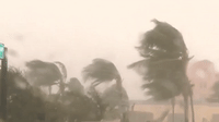 Florida oan minh trong mua gio truoc bao Irma hinh anh