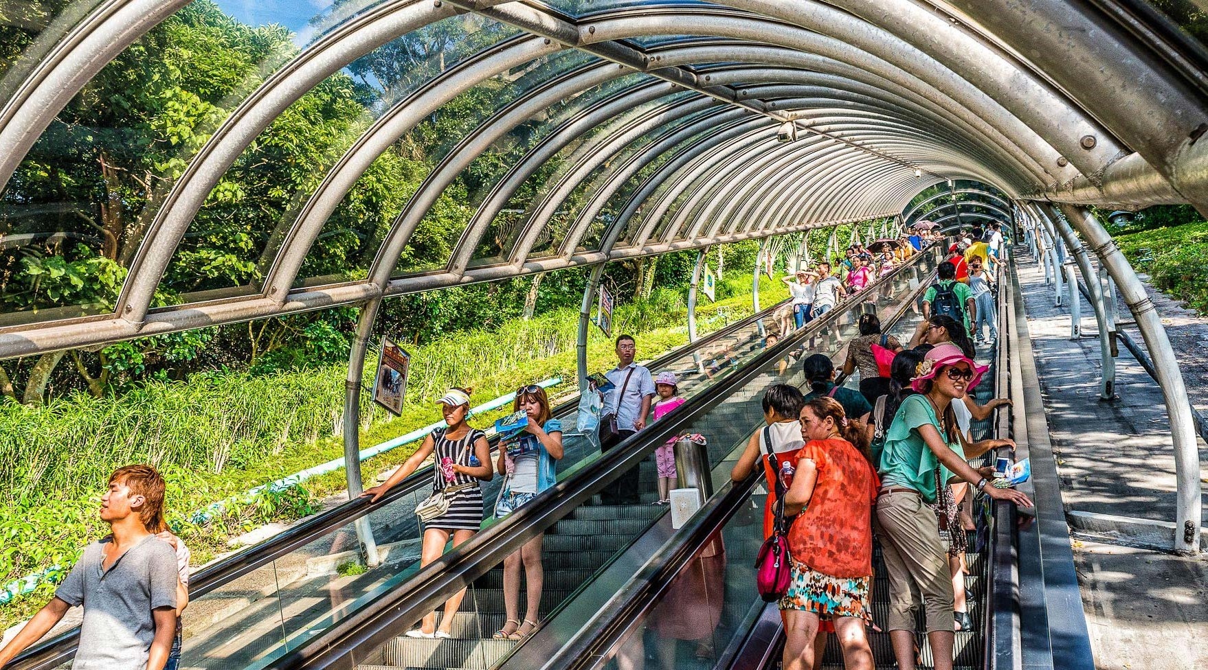 Du ngoan tren thang cuon ngoai troi dai nhat the gioi o Hong Kong hinh anh