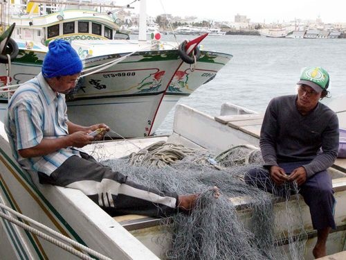 Truy to vu ngu dan Viet bi giam giu 'nhu no le' o Dai Loan hinh anh