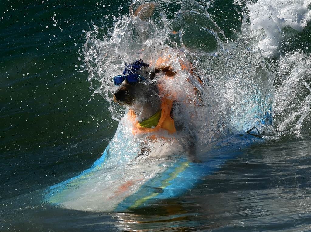 Obama xem golf ảnh 3 Obama xem golf anh 3