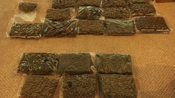 nguoi Viet trong can sa anh 3