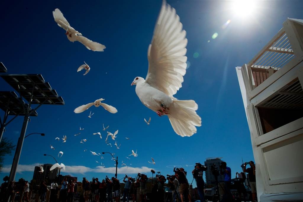 Putin nuôi chó ảnh 3 Putin nuoi cho anh 3