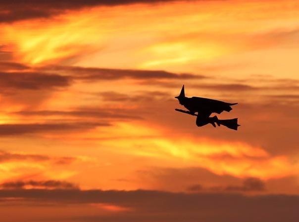 Top anh tuan: 'Phu thuy cuoi choi' va robot cuoi lac da hinh anh