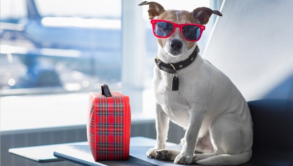 Khach san hang sang cho cho gia 70 USD/dem o An Do hinh anh