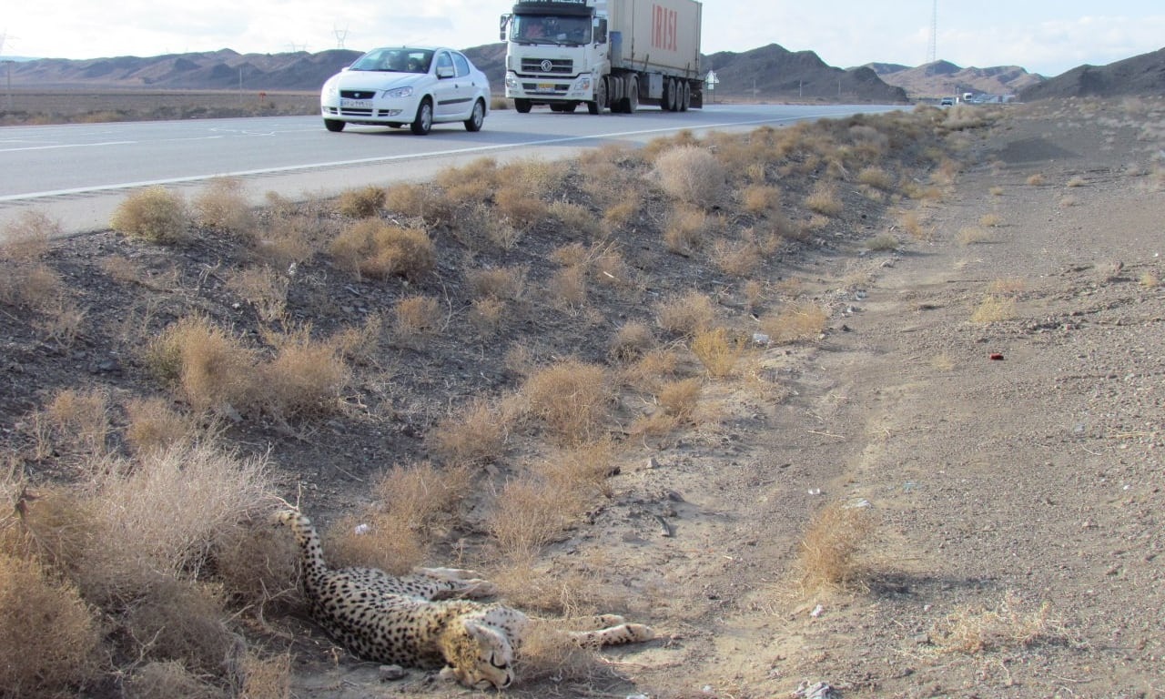 bao tuyet chung anh 2