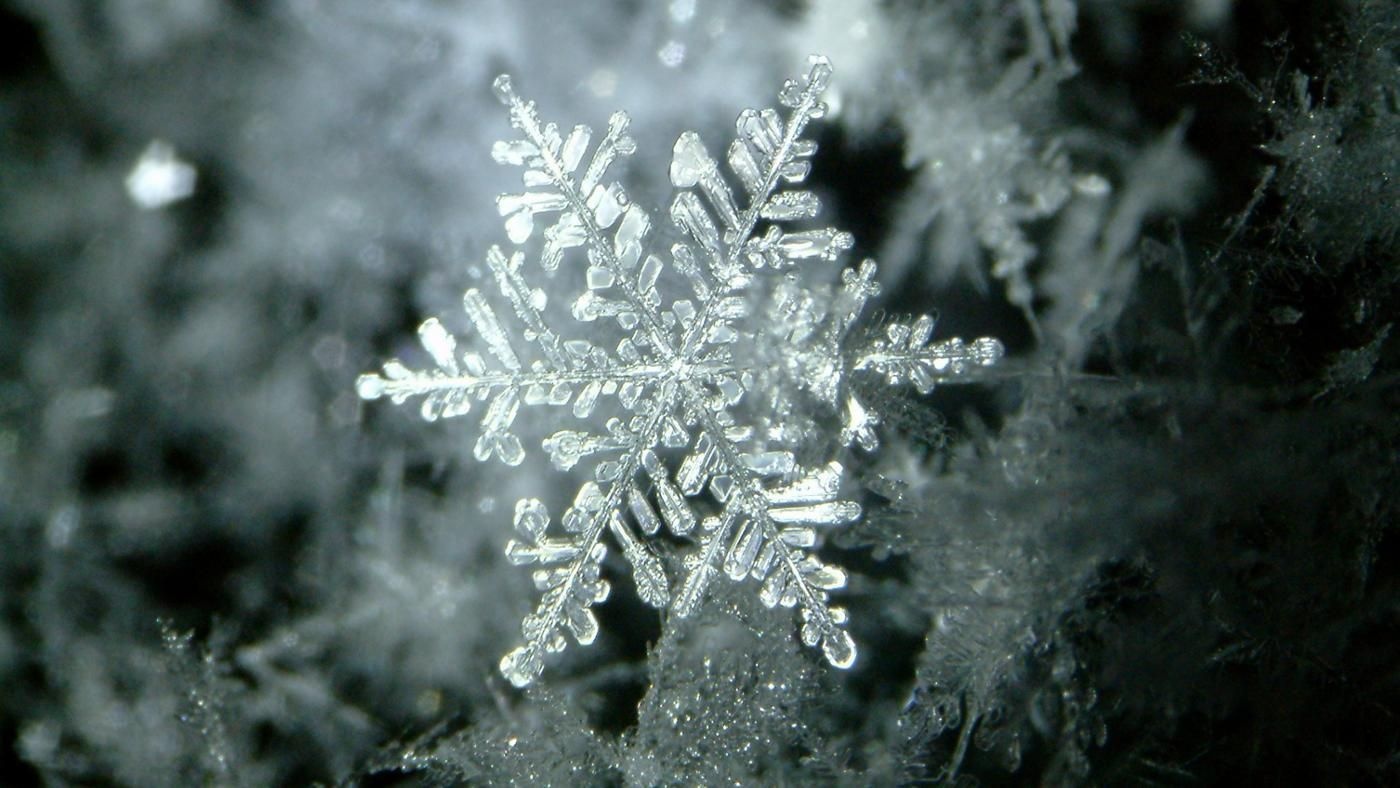 phong tục Giáng sinh ảnh 1 phong tuc Giang sinh anh 1