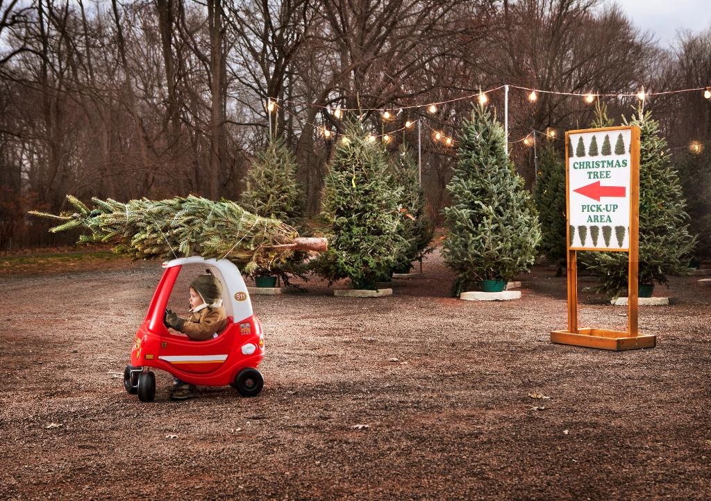 phong tục Giáng sinh ảnh 6 phong tuc Giang sinh anh 6