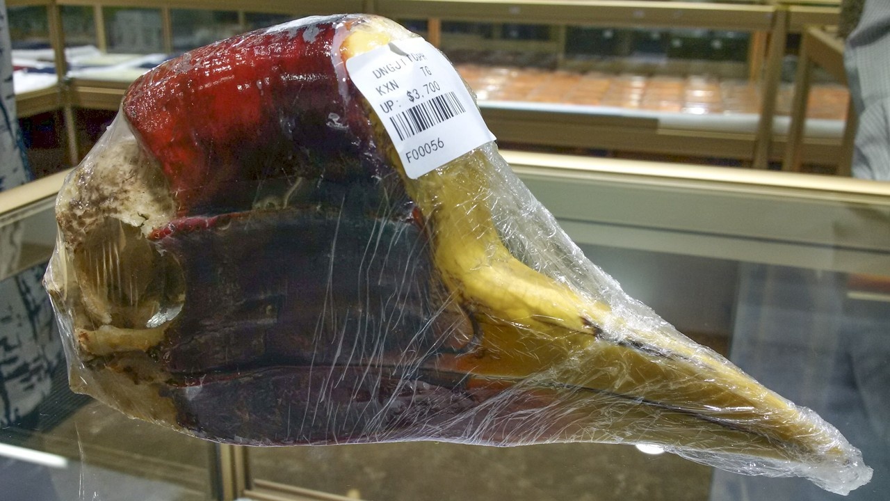 hong hoang mu cat anh 3