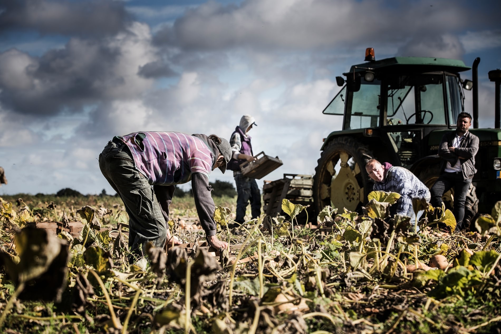 no le hien dai o Anh anh 1