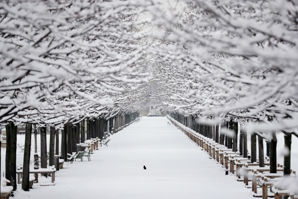 tuyet roi ky luc anh 6