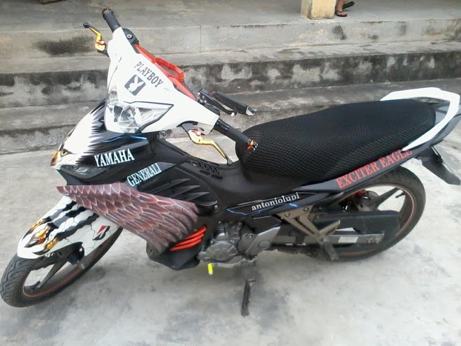 Exciter ve tem hinh chim dai bang tung canh hinh anh