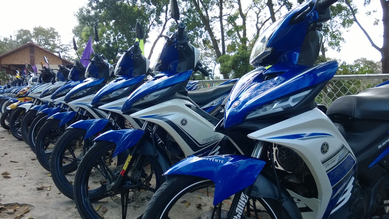 80 chiec Yamaha Exciter tu hop o Binh Duong hinh anh