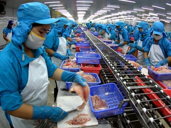 Doanh nghiep Viet khong pha gia ca tra, ca basa o Hoa Ky hinh anh