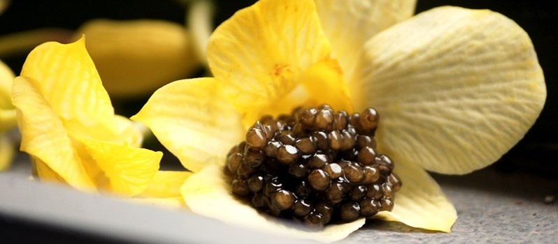 Nhung mat hang xa xi xuat xu Viet Nam hinh anh