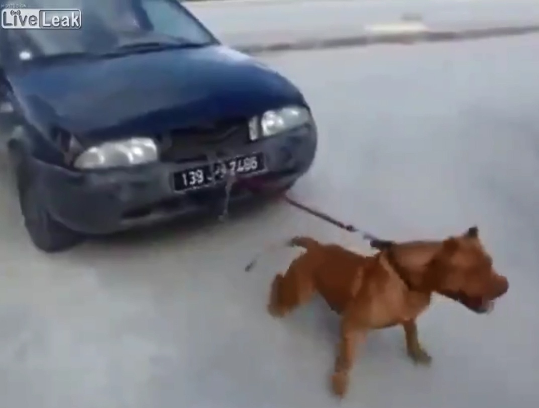 Cho keo o to hinh anh