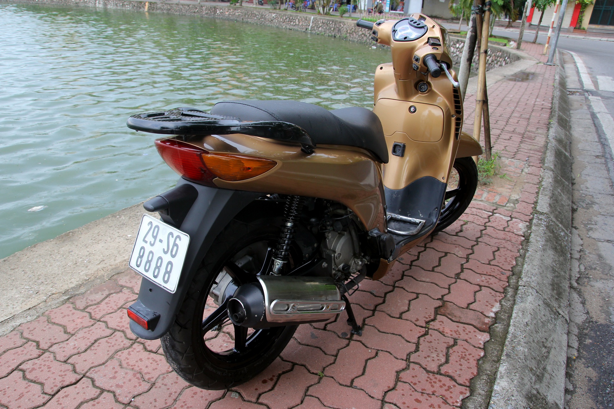 sdho ảnh