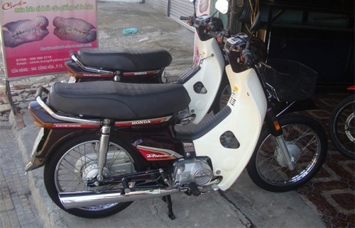 Nhập mô táo ảnh