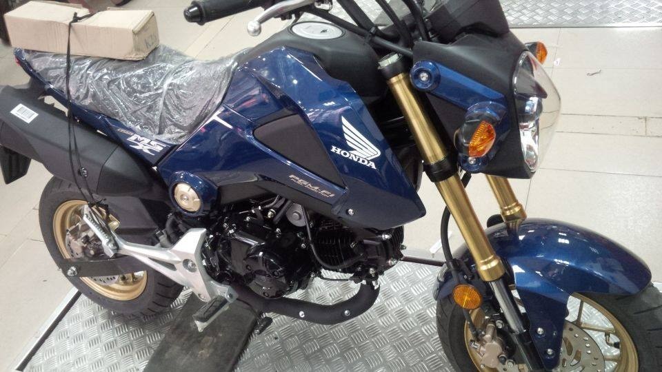 Chua ban ra, Honda MSX 125 bi het gia hon 70 trieu dong hinh anh