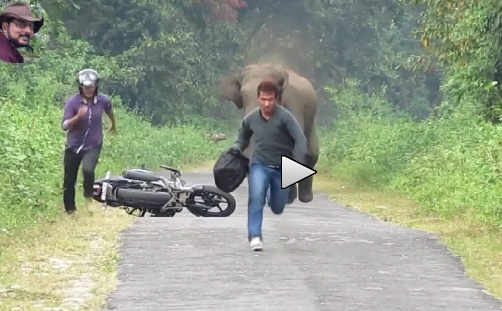 Hai biker bo chay vi bi voi duoi hinh anh