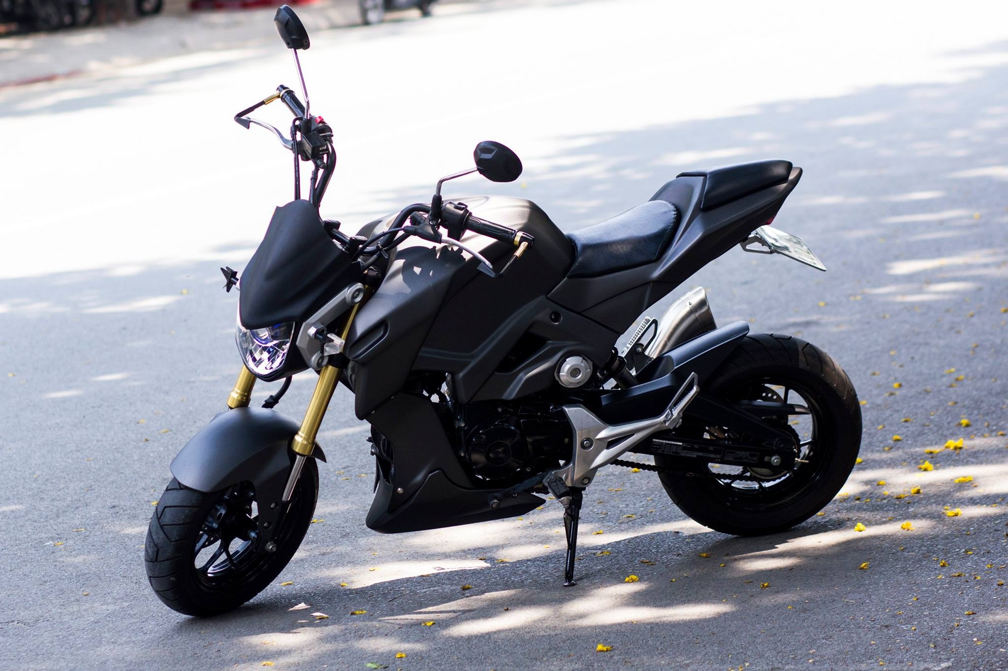 Honda MSX 125 do goc canh voi tong mau xam Lamborghini hinh anh