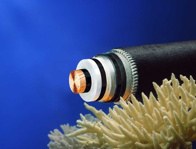 Microsoft dau tu xay 3 tuyen cap mang noi My, Anh va chau A hinh anh