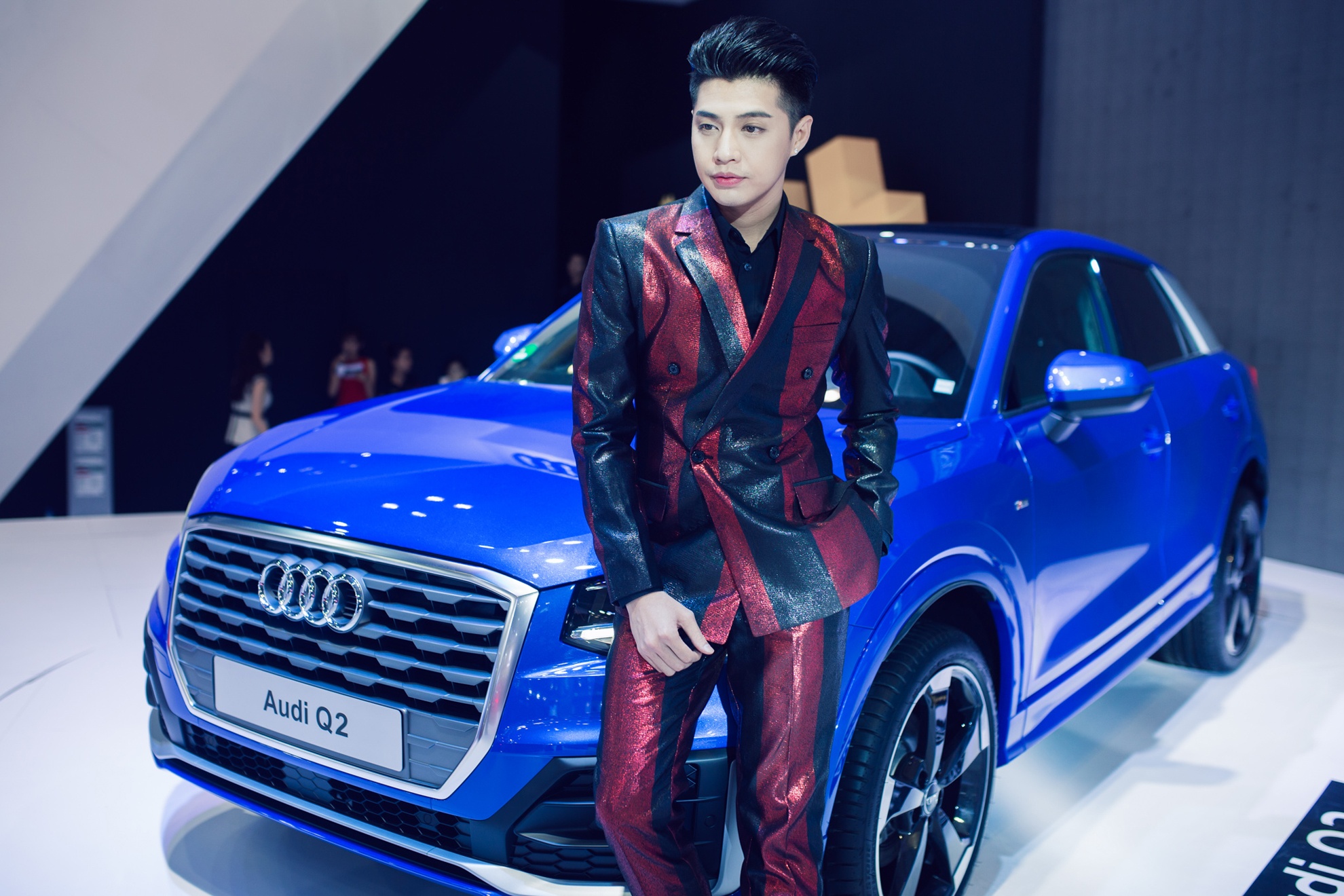 Dan sao dai su Audi anh 8