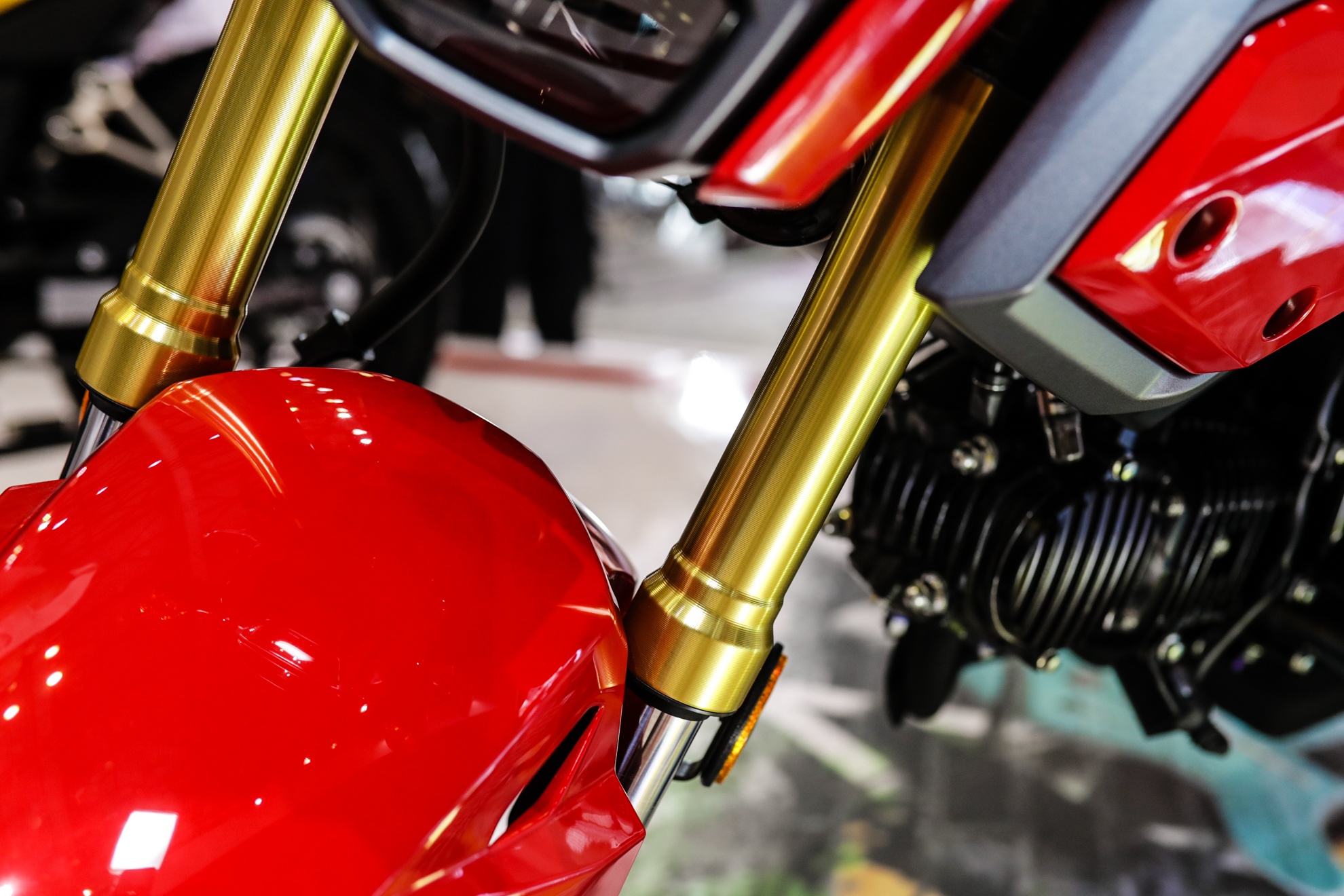 Honda MSX 125 2017 ra mat o Viet Nam anh 7