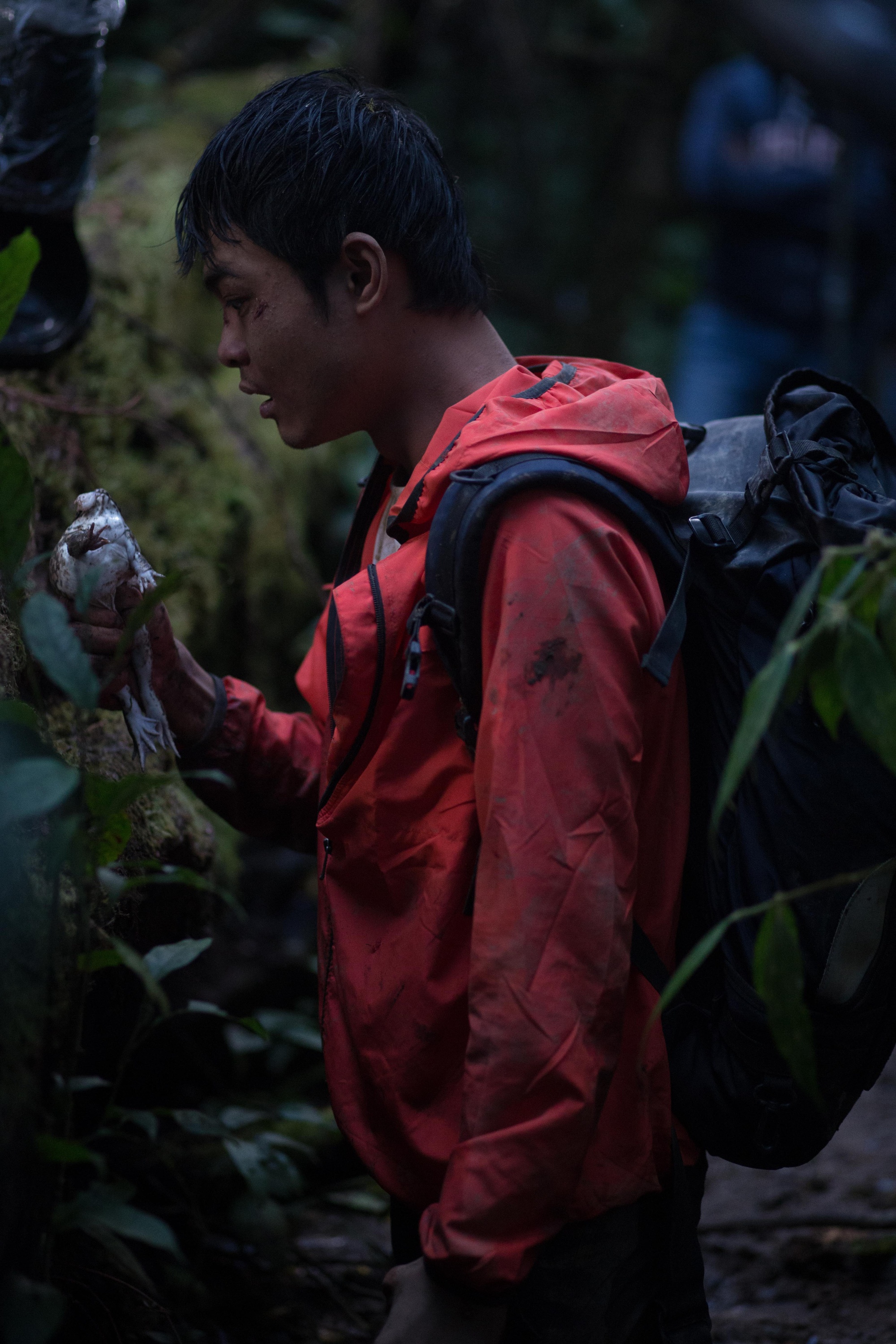 chất lượng phim rừng thế mạng ảnh 10 chat luong phim rung the mang anh 10