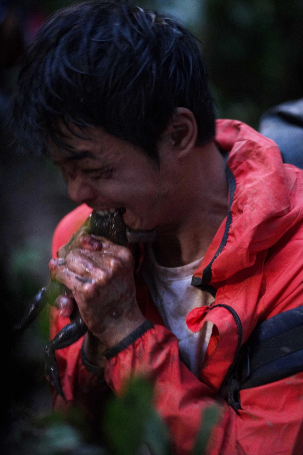 chất lượng phim rừng thế mạng ảnh 11 chat luong phim rung the mang anh 11