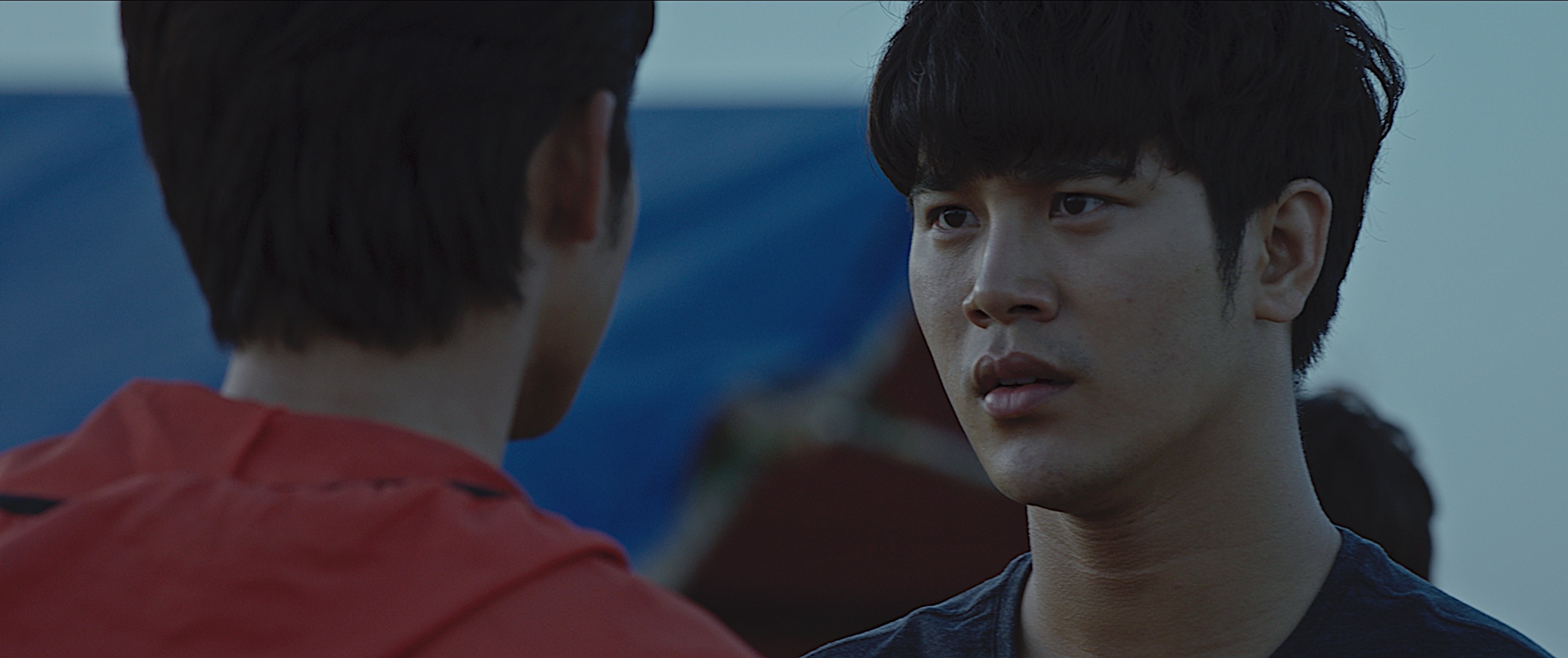 chất lượng phim rừng thế mạng ảnh 13 chat luong phim rung the mang anh 13