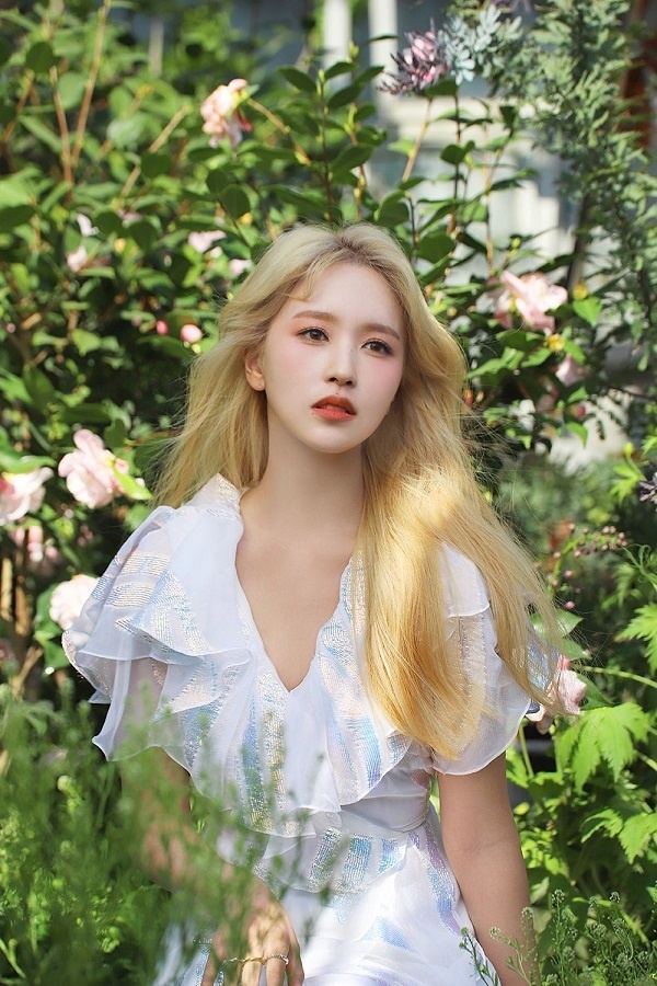 ly do nhom nhac kpop dong thanh vien anh 9