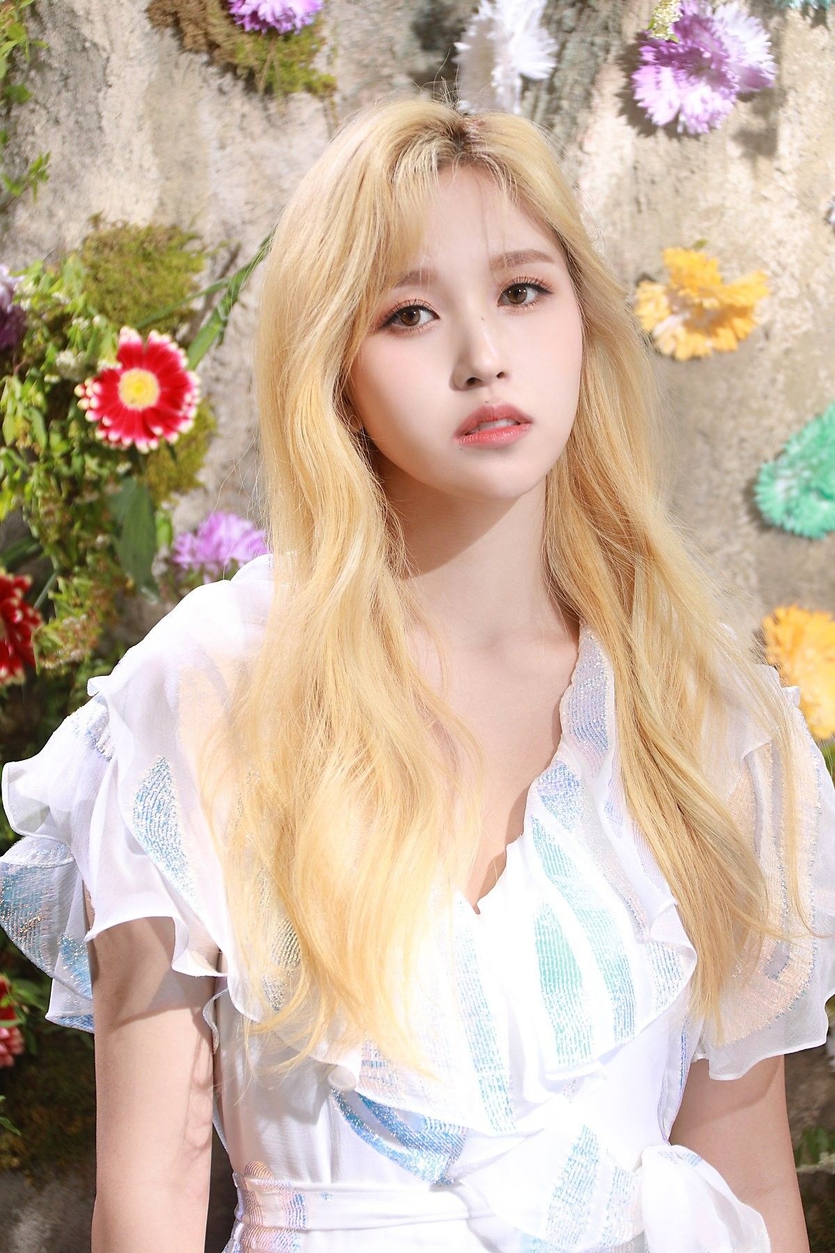 hệ thống quản lý của kpop ảnh 2 he thong quan ly cua kpop anh 2