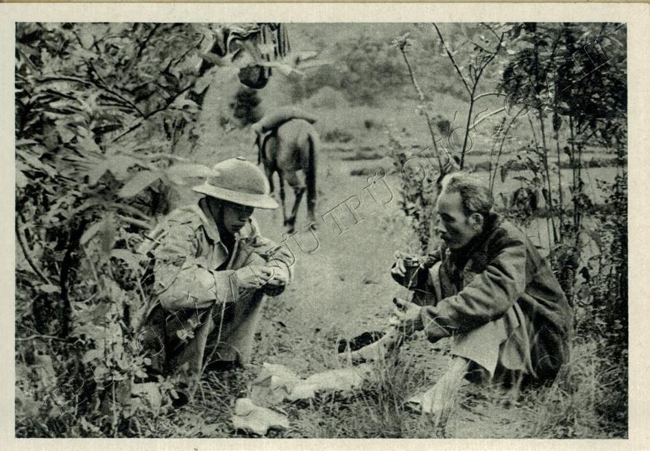 Bưu thiếp ảnh Chủ tịch Hồ Chí Minh ảnh 2 Buu thiep anh Chu tich Ho Chi Minh anh 2