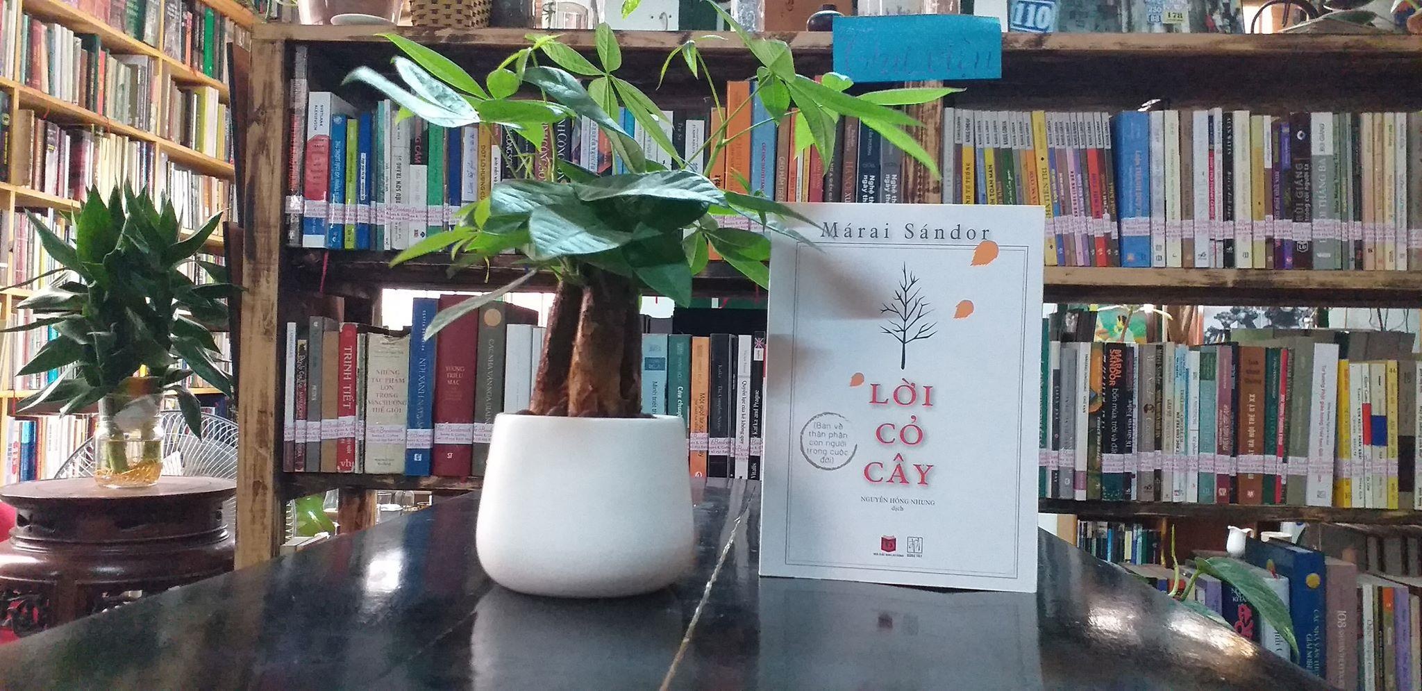 So phan luu vong co cuc cua nha van Sandor Marai hinh anh