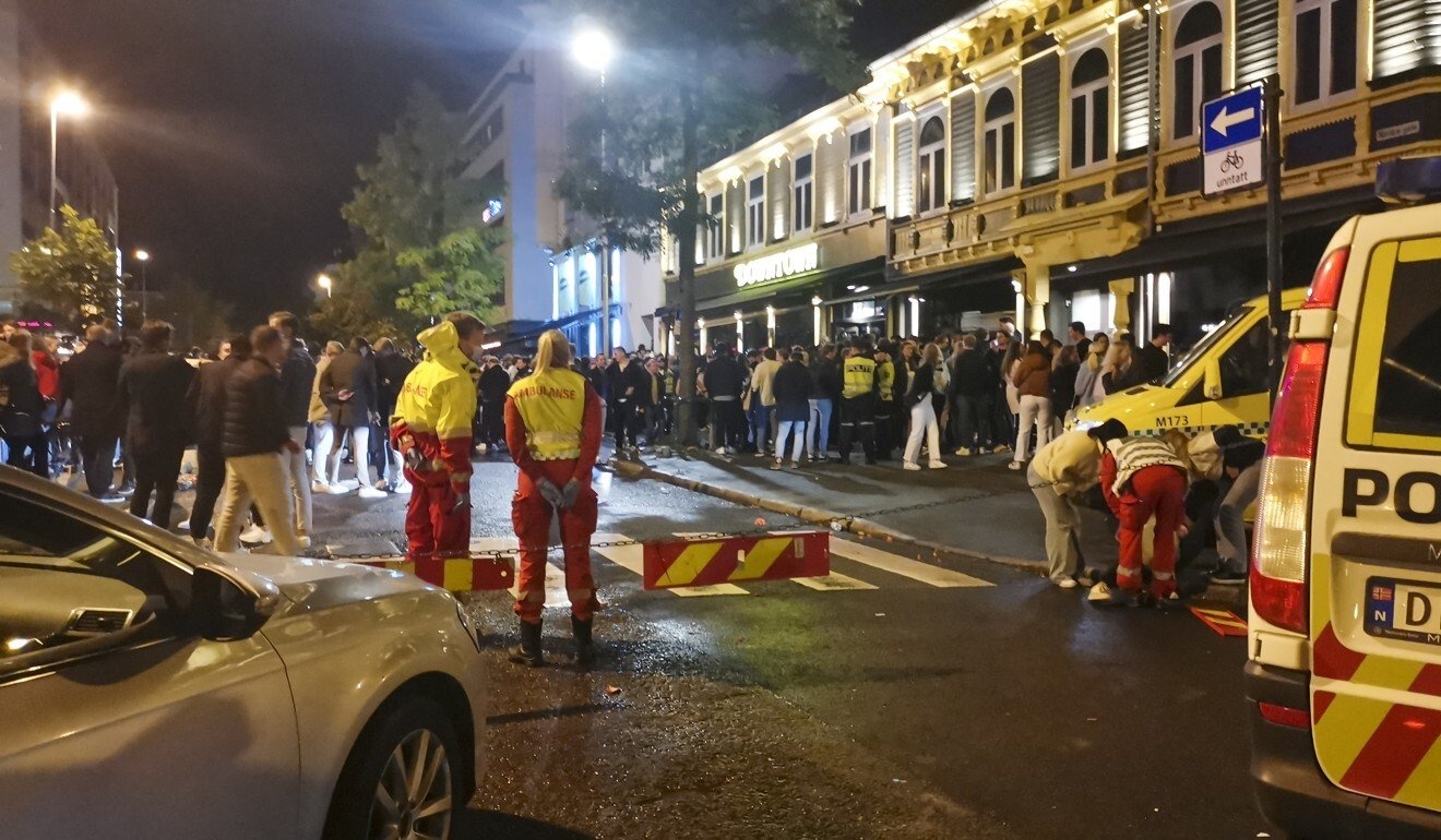 Norway go bo han che anh 1