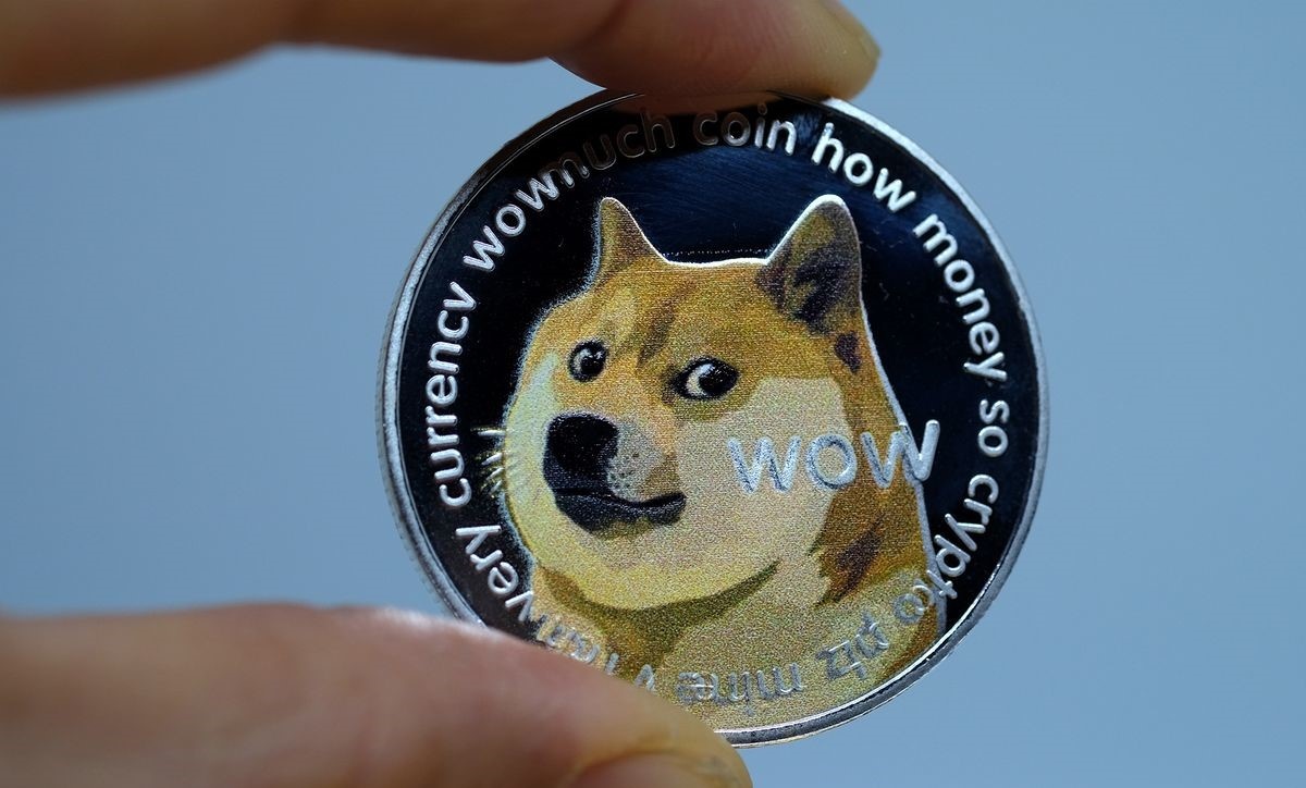 Ca voi nam hau het Dogecoin anh 1