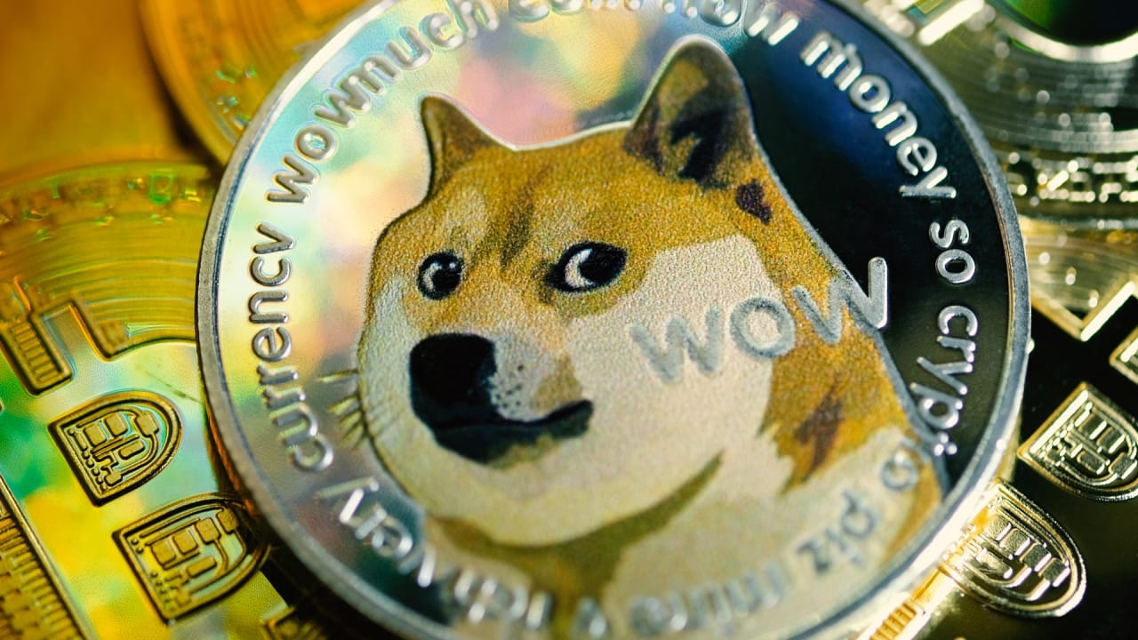 Nha dau tu ban thao Dogecoin hinh anh