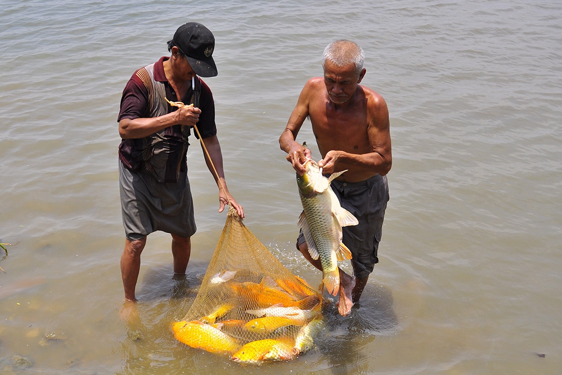 Ngu phu khiem thi moi ngay bat gan 50 kg ca hinh anh